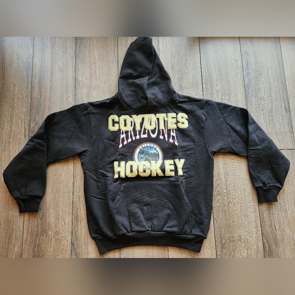 Arizona Coyotes Utah HC Men's Black Icey Rhuigi Pullover Hoodie Size Medium